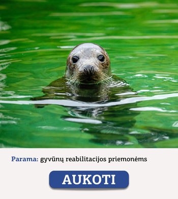 Gyvūnų gydymui