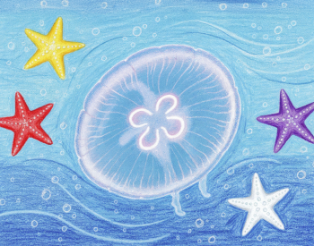 Edukacija Kas Baltijoje gyvena?