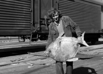  Lietuvos jūrų muziejaus metraštis, 2010, Nr. 1