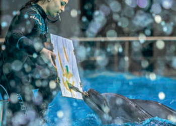 Lietuvos jūrų muziejaus metraštis, 2018, Nr. 5